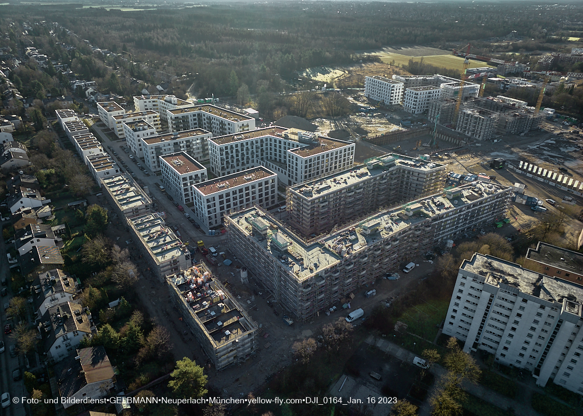 16.01.2023 - Alexisquartier und Pandion Verde